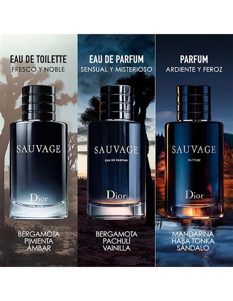 sauvage dior paco perfumerias|parfum Dior Sauvage.